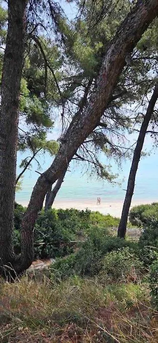 Sunny Seaside Villa-90 M From Beach Kriopijí